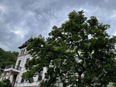 IMG_9569.jpg
